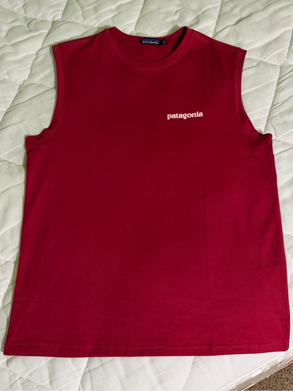 Patagonia Tee Shirt